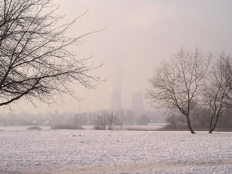 p4.jpg
